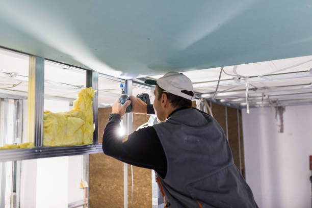 Best Spray Foam Insulation  in The Colony, TX