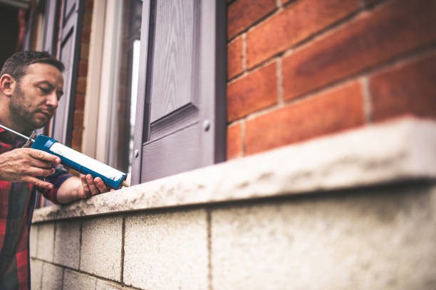 Best Home Insulation Services  in The Colony, TX
