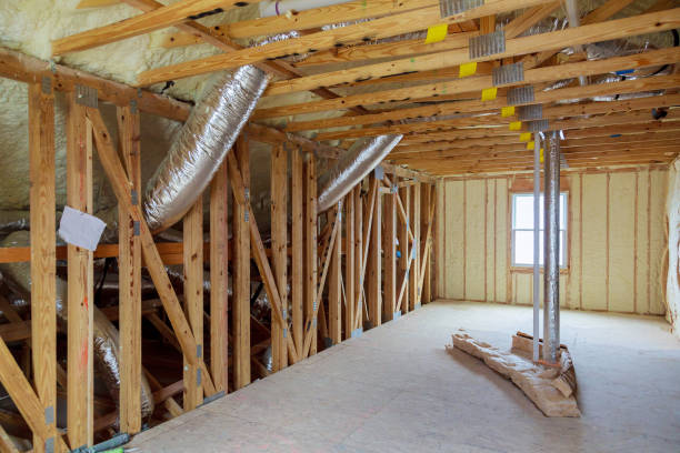 Best Spray Foam Insulation  in The Colony, TX