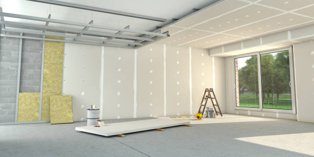 Best Insulation for New Construction  in The Colony, TX