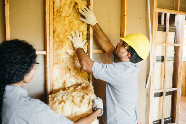 Best Attic Insulation Installation  in The Colony, TX