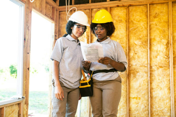 Best Insulation Replacement Services  in The Colony, TX