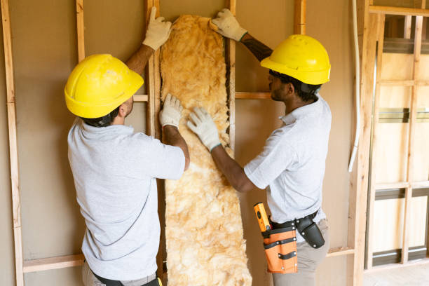 Best Affordable Insulation Services  in The Colony, TX