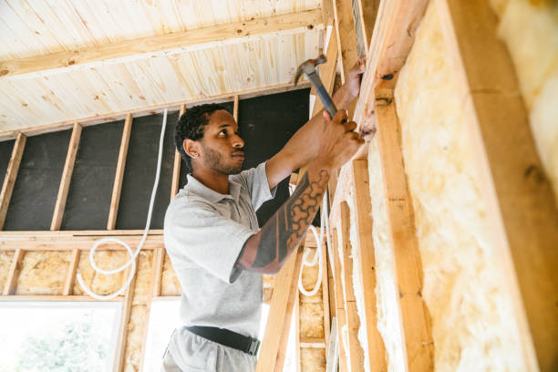 Best Residential Insulation Services  in The Colony, TX