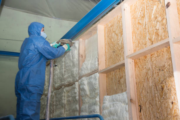 Best Energy-efficient Insulation  in The Colony, TX